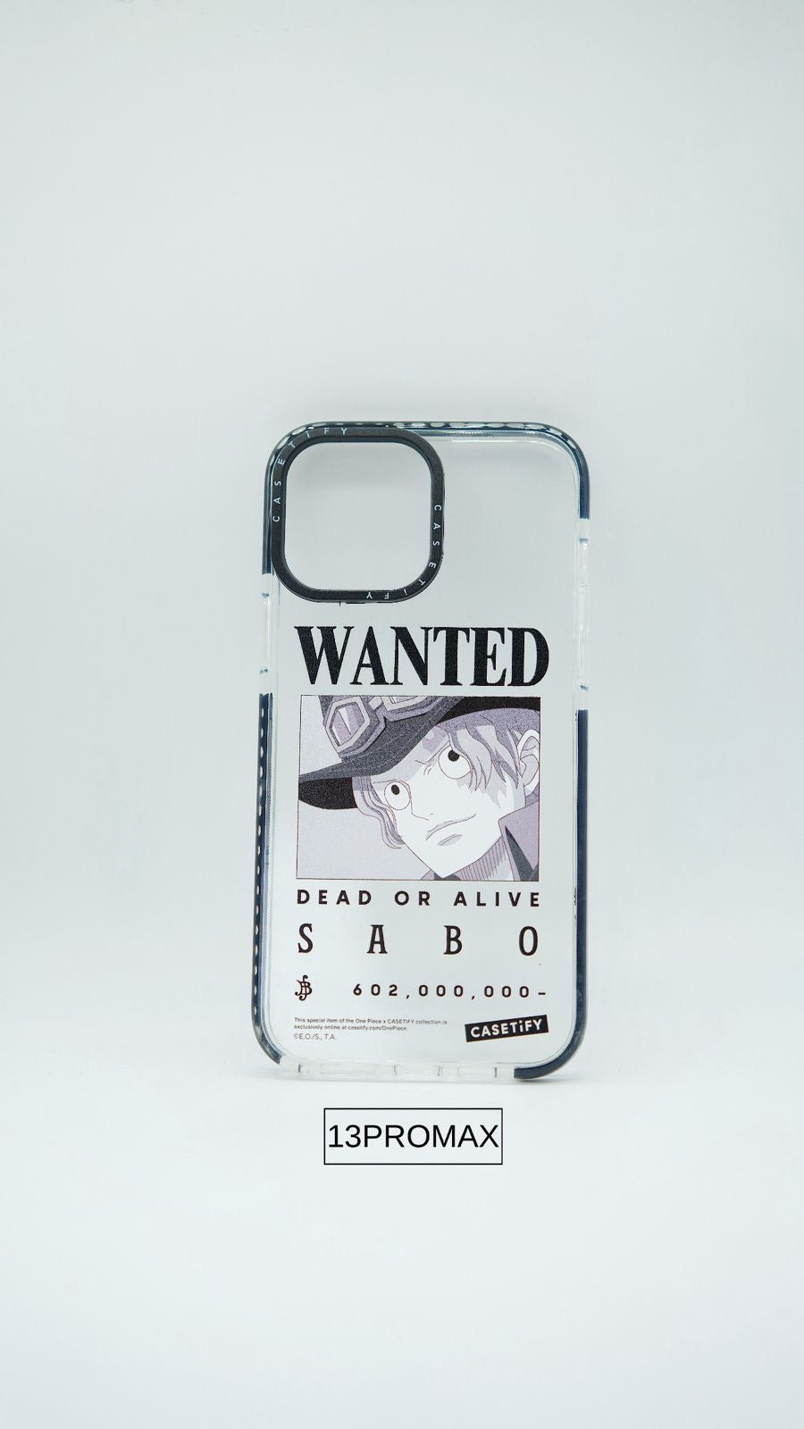 CASE IPHONE 13 PRO MAX