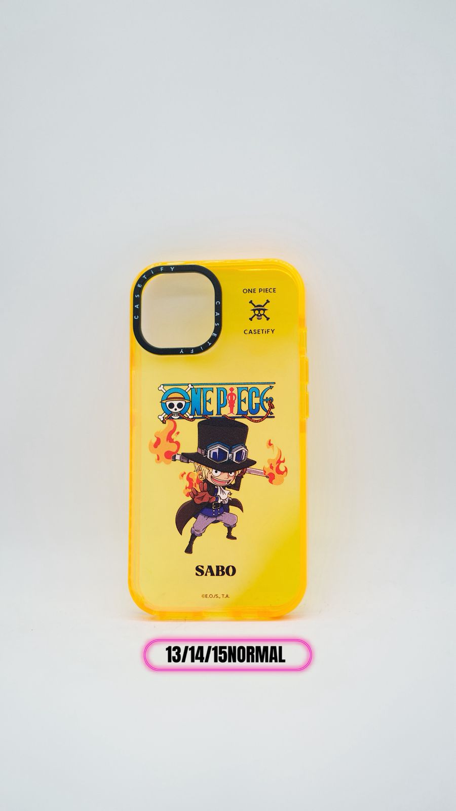 CASE IPHONE  13/14/15